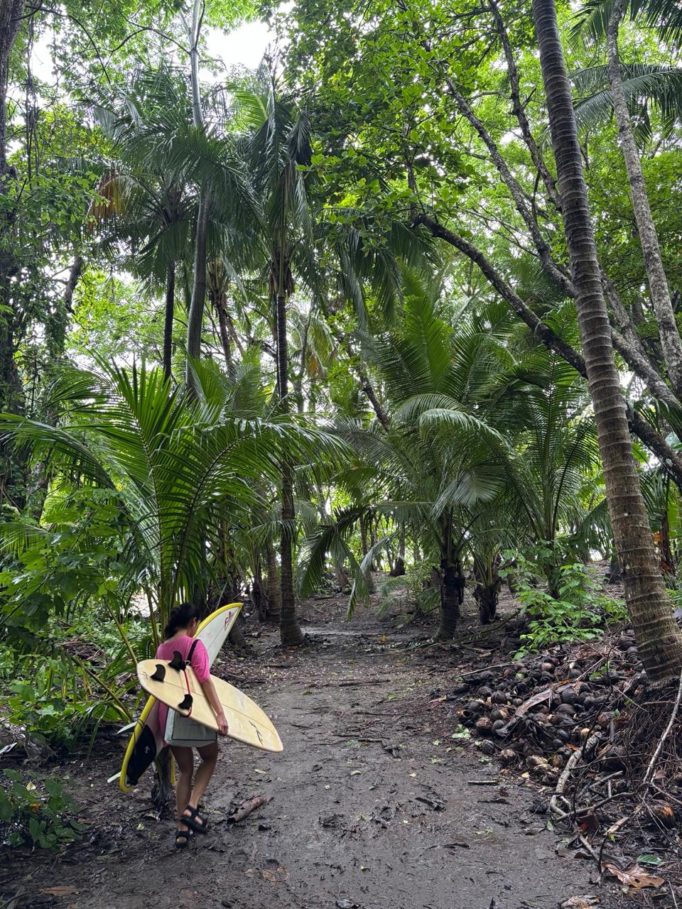 Walking through jungle to surf